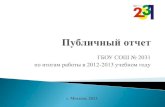 публичный отчет 2012 2013 на печать