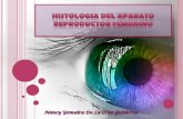 Histologia del aparato reproductor femenino