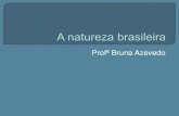 A natureza brasileira - GEO PM 2011