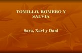 Tomillo, Romero Y Salvia