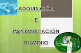 Adquisicion e implementacion   dominio
