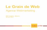 Le Grain de Web - Presentation BNI