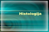Histologija - tkiva