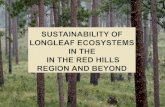 “Sustainability of Longleaf Ecosystems in the Red Hills Region and Beyond” Robert Abernathy, President, The Longleaf Alliance, Andalusia, AL