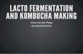 Lacto fermentation and kombucha making