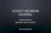Higiene y seguridad industrial glosario