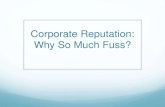 Corporate Reputation: Why So Much Fuss?