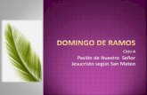 Domingo de Ramos - Pasión del Señor - A