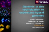 In situ hybridization results and examples for course Trude Schwarzacher