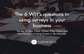 The 6  Whs questions in using surveys in your business