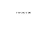 Percepción visual2