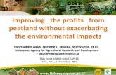Improving the profits  from peatland without exacerbating the environmental impacts- By Fahmuddin Agus (Indonesia)