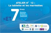 La Tablette & la marmotte - Touristic et AEC - Rencontres du Etourisme ET7 2011