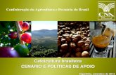 Cafeicultura brasileira - Cenário e políticas de apoio - Breno Mesquita