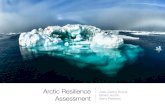 Arctic resilience assessment: exploring methods for scaling up
