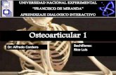 semiologia osteoarticular