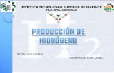 Produccion de hidrogeno. 2