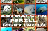 Animals perill extinció.