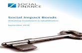 Social impact bond criminal justice