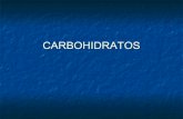 Carbohidratos 2013