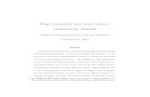 Paper_Wage inequality and trade refor: productivity channelductivity channel