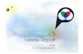 Weekly report 20a28_jun_10