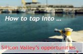 Stepinto.us. Leverage Silicon Valley's Business Opportunities
