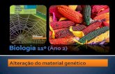 BG 11 - Alteração do material genético