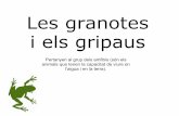 Les granotes i_els_gripaus
