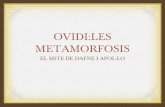 Les Metamorfosis d'Ovidi. Mite de Dafne i Apol·lo