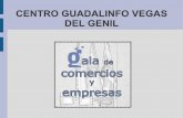 Proyecto gala (copia)