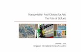 Transportation Fuel Choices for Asia