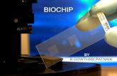 Biochip 28
