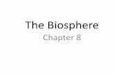 Sec 4 chapter 8   the biosphere -slideshare