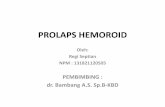 Prolaps hemoroid