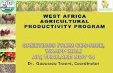 1416 -  West Africa Agricultural Productivity Program  / Direct Seeders for Pregerminated Seed