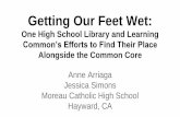 Getting Our Feet Wet:  One High School Library and Learning Common’s Efforts to Find Their Place Alongside the Common Core