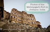 Photos from the Mehrangarh Fort in Jodhpur, India - Photographs