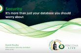 Security its-more-than-just-your-database-you-should-worry-about