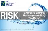 Framework for Enterprise Risk Management (ERM) - Risk Matrix