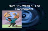 Hum 110 wake tech week 4 environment4