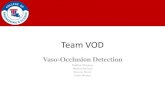 Vaso-occlusion Detection