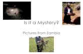 Schools: IS IT A MYSTERY?: Life in Zambia