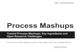 Process Mashups