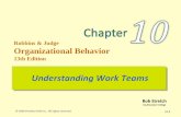 Understanding work Team