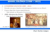 05. brasil aula sobre brasil colônia parte 5