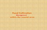 Food Cultivation management in Coastal area Bangladesh