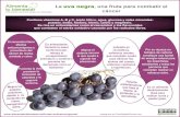 Infografia La uva negra una fruta para combatir el cancer