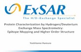 Chromatography: Protein Characterization by Hydrogen/Deuterium Exchange Mass Spectrometry