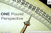 One Pound Perspective